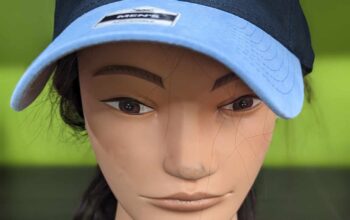 Blue Jay’s Hat