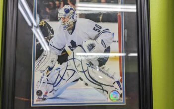 Jonas Gustavsson Leafs Goalie Picture