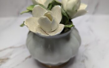 Royal Adderley Bone China