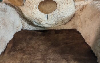 Kids Doggy Chair