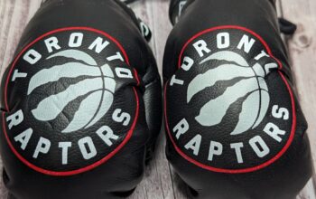 Toronto Raptors boxing gloves