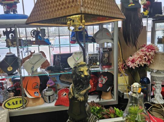 Lion Lamp
