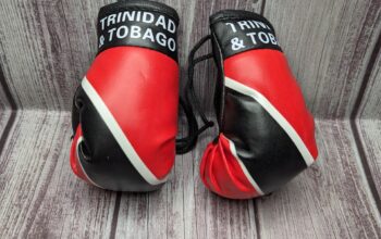 Trinidad and Tobago boxing gloves